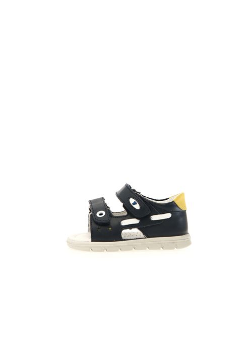 Navy/yellow