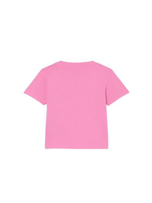  LACOSTE | 847025GLH
