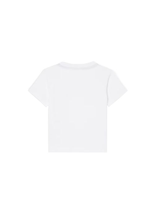  LACOSTE | 847025W8L